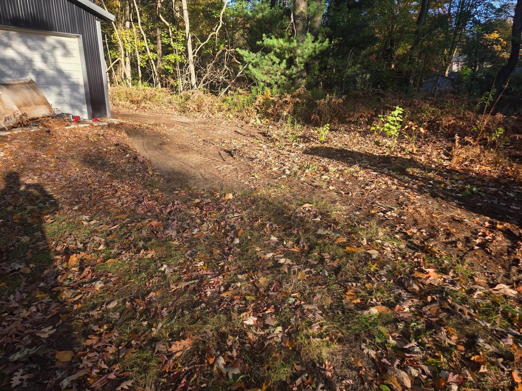 Before brush clearing and grading alongside garage