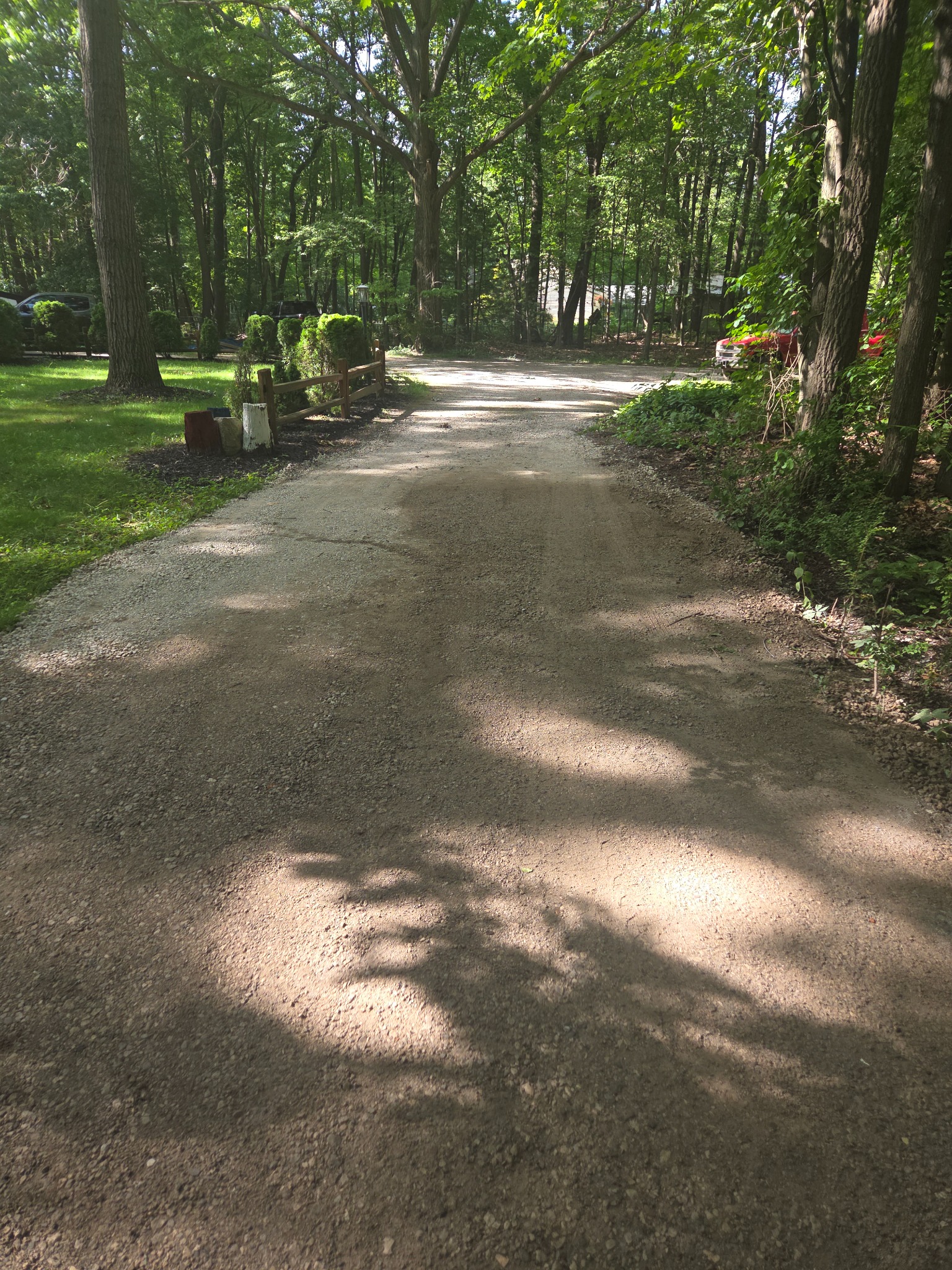 Wooded Driveway